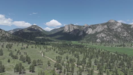 aerial view of pine trees in green pastures of rocky mountains colorado usa on hot summer day, drone shot