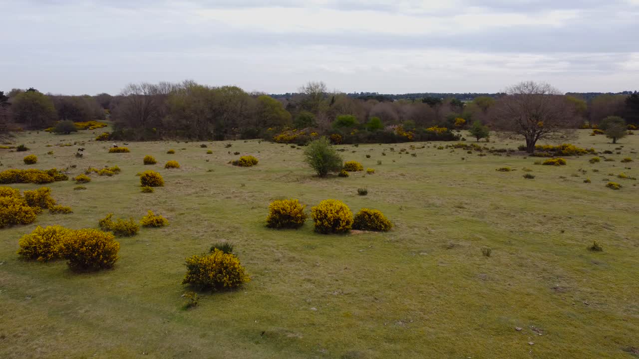 toma aérea de campo seco en la ciudad de thetford norfolk