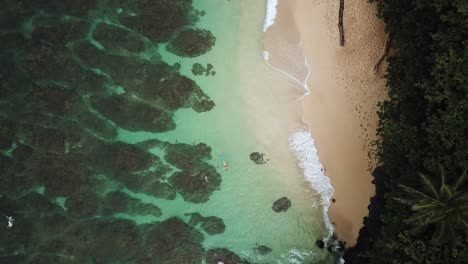 Luftaufnahme-über-Menschen,-Die-Im-Ozean-An-Einem-Tropischen-Strand-Schnorcheln