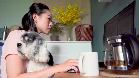 asian woman working on computer with dog at home