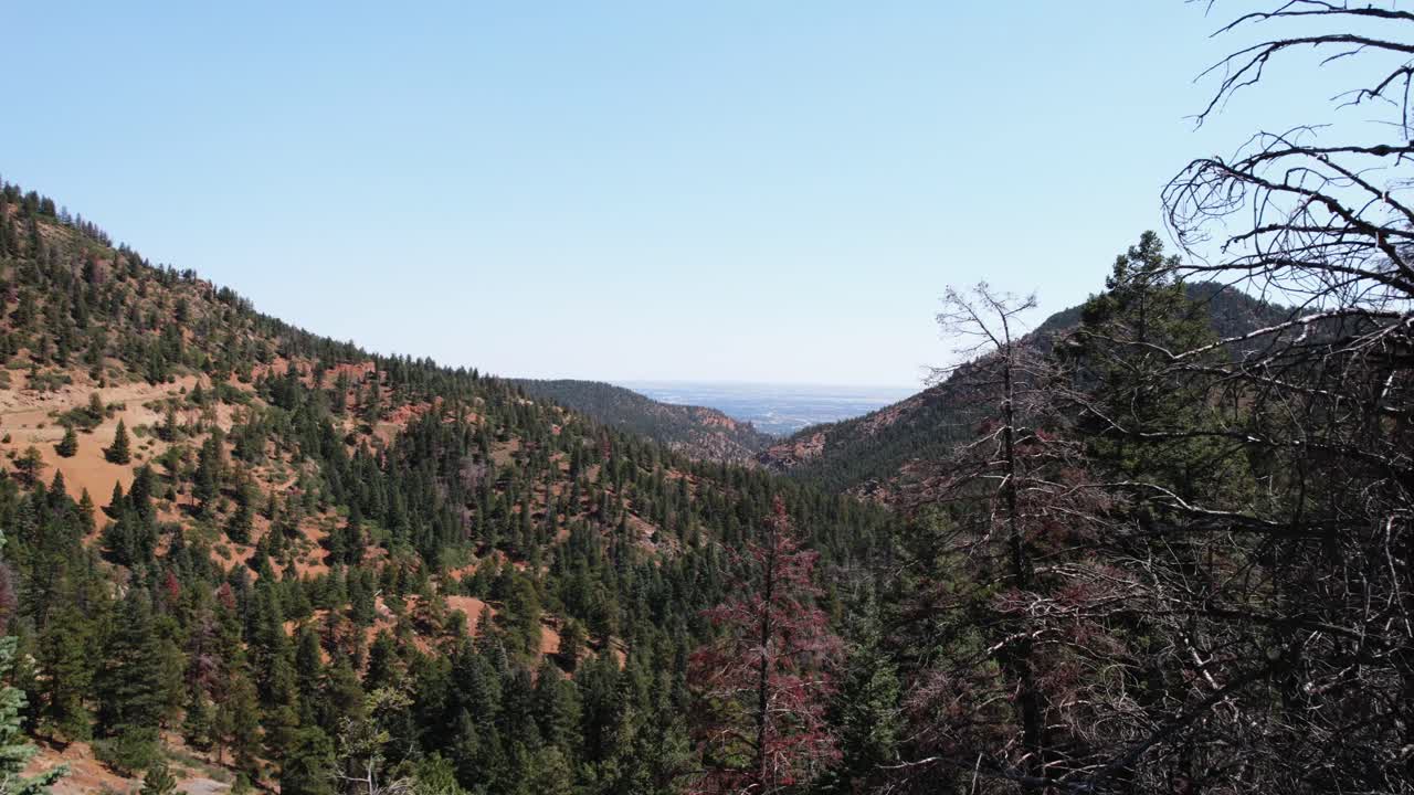 Camera rises up between green trees to reveal a valley