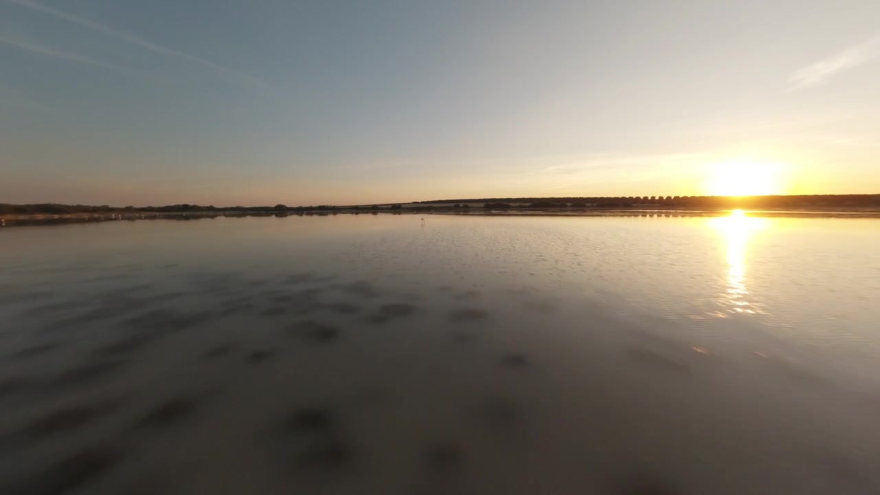 Vadefugle krydser brede, lavvandede områder under den gyldne time. Den lave sol skaber fantastiske refleksioner på den stille overflade, der oplyser landskabet og den fjerne horisont med varmt lys