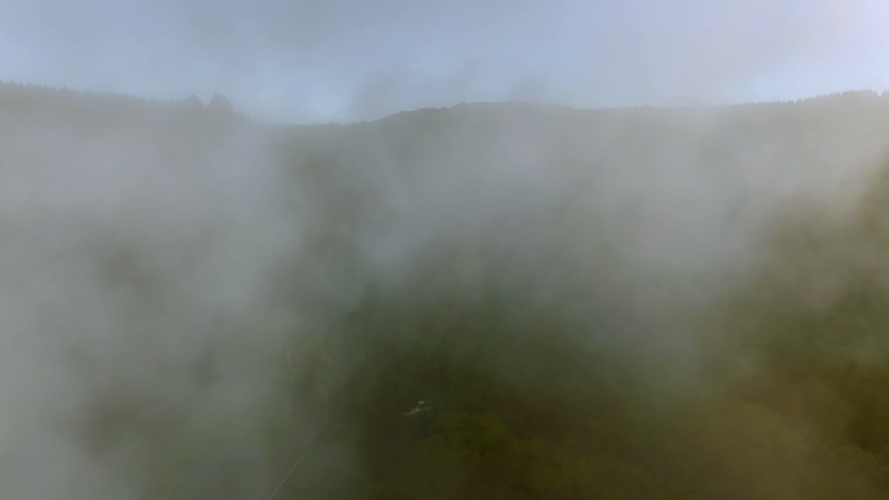 Sunrise, golden, beautiful light, Drone slowly flying over geothermal landscape. Trees, steam, bubbling mud and steam. Alien Landscape. Sci-fi. Global Warming