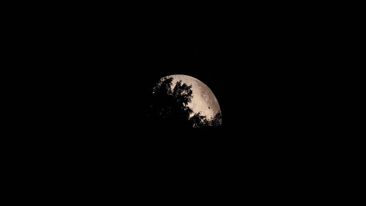 Zoom out detail on the side of the moon captured with moving tree tops close up zoom view with all the detail on the lunar landscape using Lunalon captured in 4k resolution