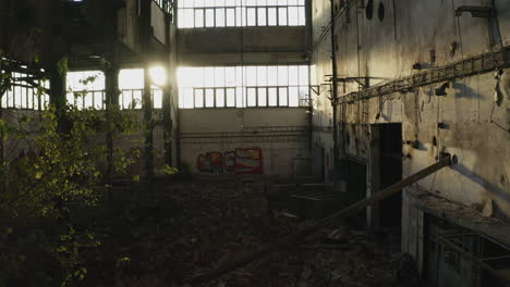 wide revealing shot of old ruined warehouse with growing tree and plants inside, sunny