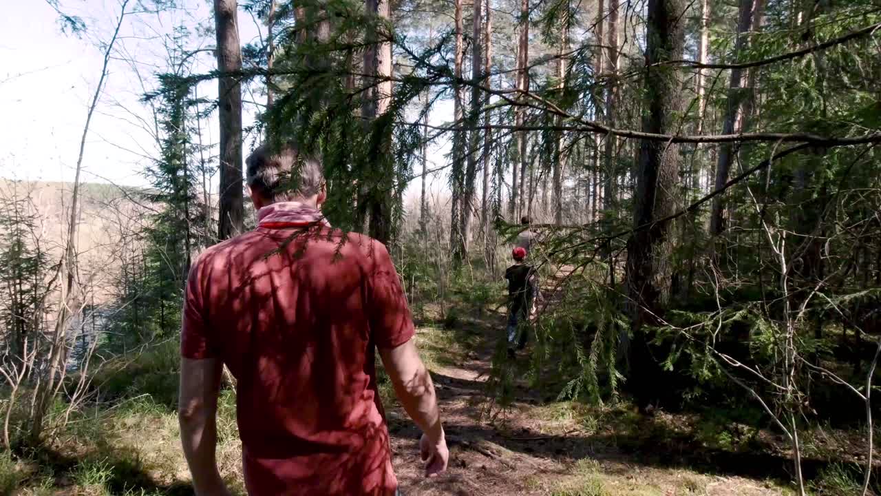 Folk vandrer i en skov