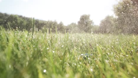 golf club hits a golf ball in a super slow motion. drops of morning dew and grass particles rise into the air after the impact.