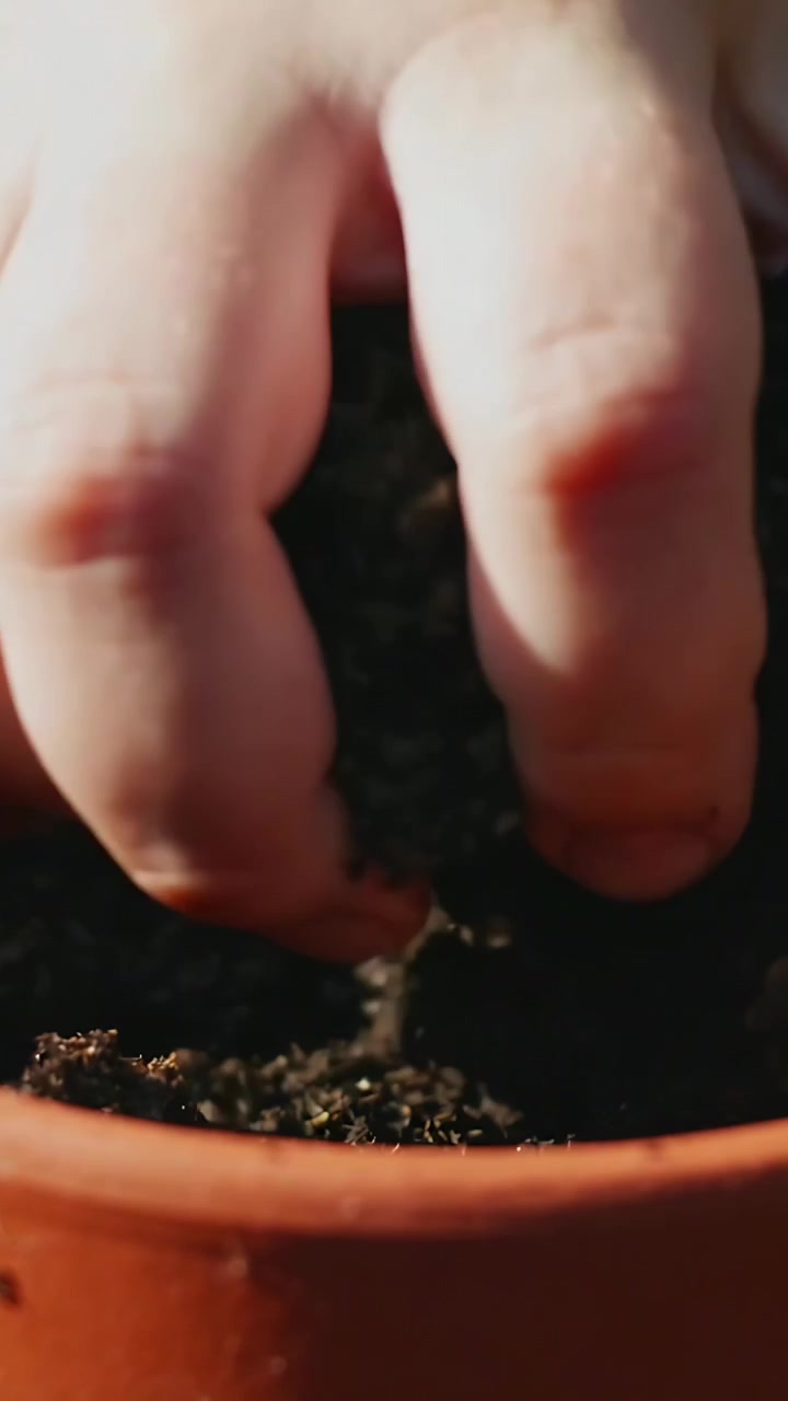 Video verticale: Mano nuda di bambino che compatta il terreno in un vaso di terracotta, preparandosi per piantare