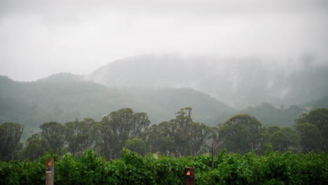 Brumoso-Bosque-Tranquilo-Y-Paisaje-Montañoso-De-Hunter-Valley,-Australia--wide