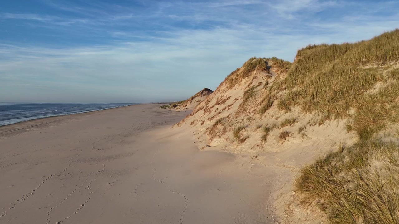 Tiefe, schnelle Drohnenbewegung am Fuße der Dünen mit fliegendem Vogel.