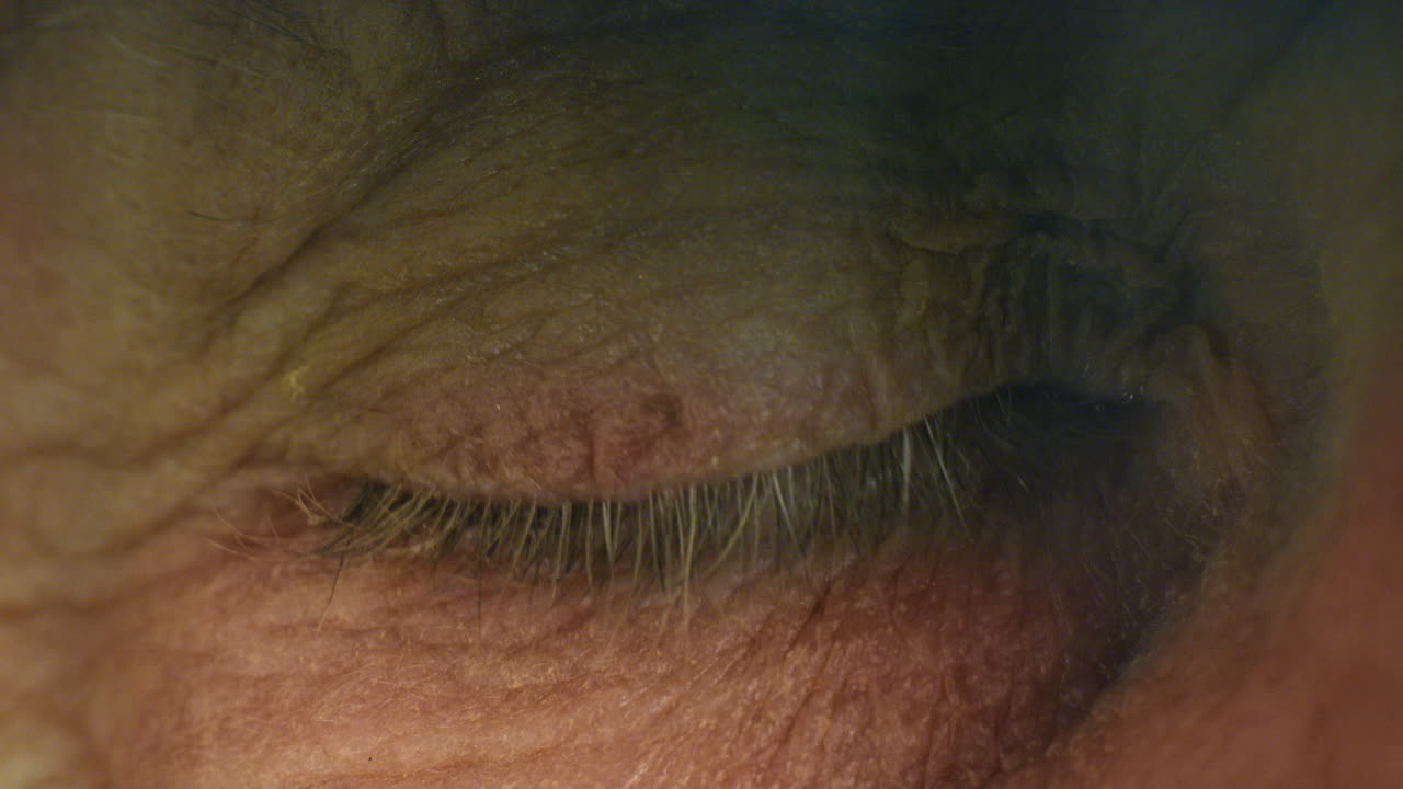 examen de la vista, la visión y la visión médica con luz