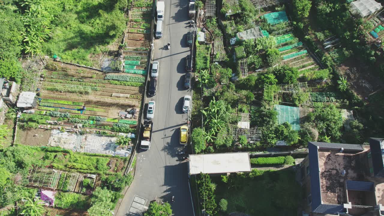 대만 의 채소 농지 를 가로질러 가는 도로 의 위상