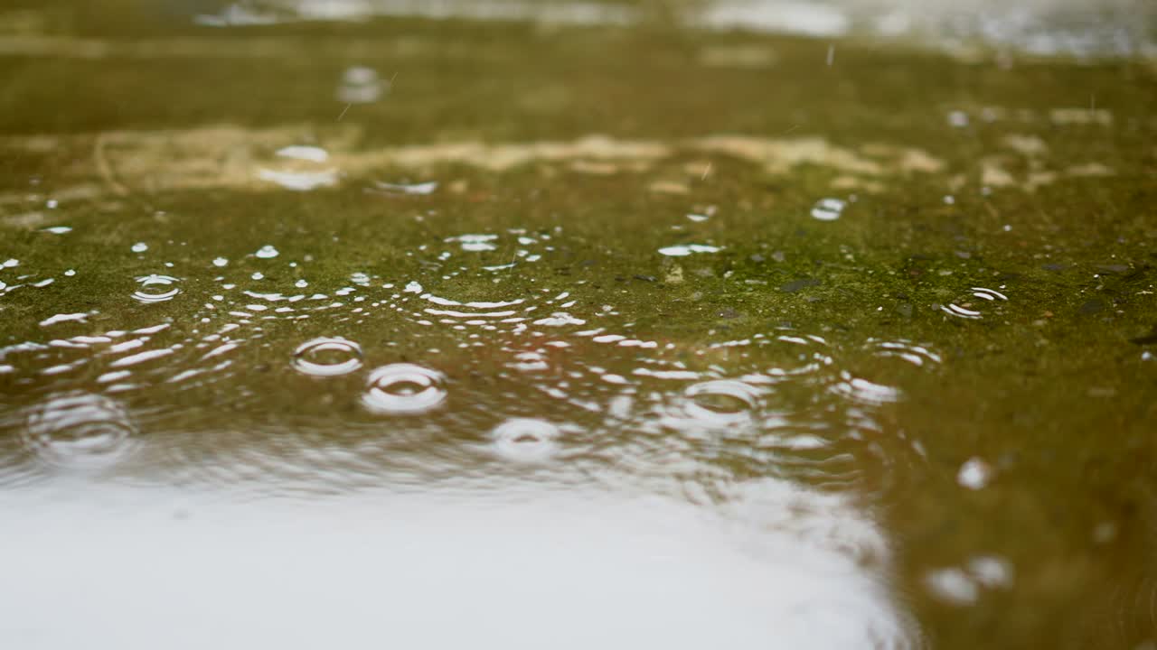 Rain droplets falling on ground on blurred background, beautiful nature rain season, splash of water fall motion on ground, light of sunny pass water is beauty, close up view raindrop on heavy weather