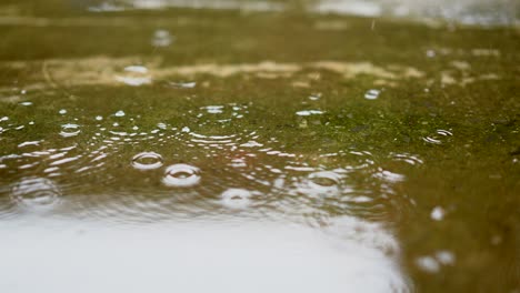 rain droplets falling on ground on blurred background, beautiful nature rain season, splash of water fall motion on ground, light of sunny pass water is beauty, close up view raindrop on heavy weather