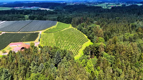approaching farmlands surrounded by the pine tree woods. beautiful countryside of germany from aerial view