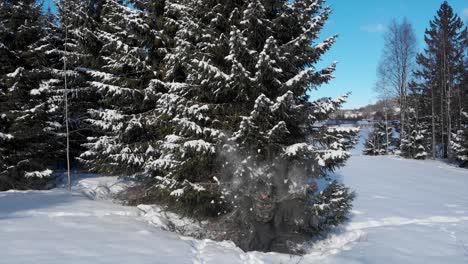 Saltar-Debajo-De-Un-árbol,-Salpicar-Nieve