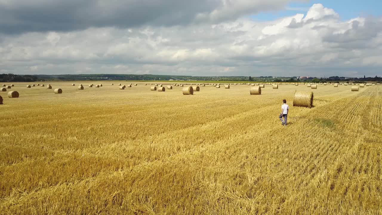 Boy Relaxing On Field. Happy child boy relaxing on summer field