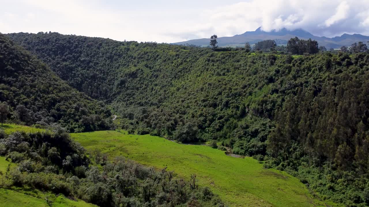 Filmato che si avvicina a un canyon pieno di vegetazione ai piedi del vulcano Pasochoa, Ecuador.