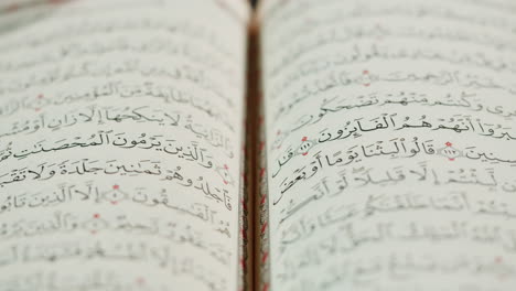 open quran pages