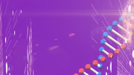 Animation-of-shapes-moving-over-dna-strand