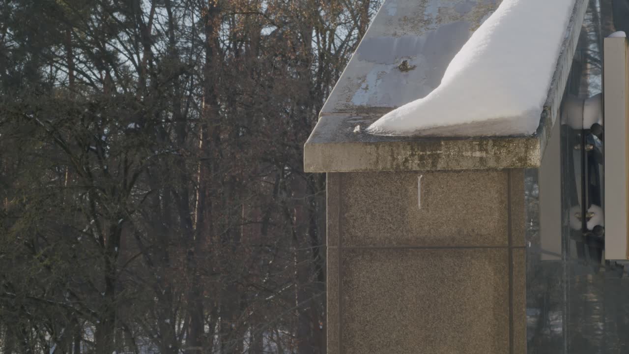 Spring is coming, snow is melting