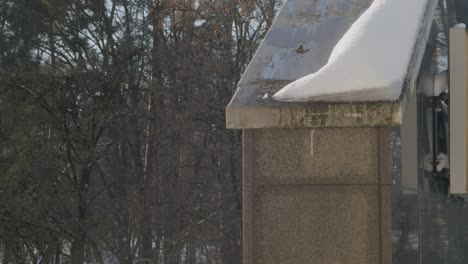 Der-Frühling-Kommt,-Der-Schnee-Schmilzt