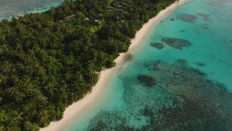 Una-Toma-Aérea-De-Una-Pequeña-Isla-Rústica-Con-Un-Bosque-Tropical-Y-Agua-De-Mar-Turquesa