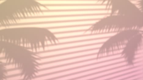 palm trees and blinds shadow on the wall loop animation, light pastel color background, wallpaper, banner. summer, sun, sunlight, tropical plant leaf blurred silhouette concept. stock footage 4k.