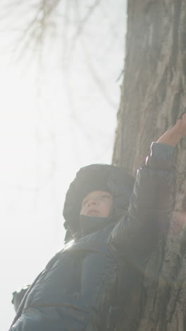 a young boy leans against a large tree trunk with sunlight shining directly on him, his arms are outstretched, embracing the moment, he is dressed in a shiny black jacket, with trees around