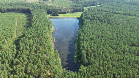 „Die-Drohne-Gleitet-über-Den-Im-Morgengrauen-Erleuchteten-See-Europas-Und-Gibt-Den-Blick-Auf-Eine-Ruhige-Lagune,-Einen-üppigen-Wald-Und-Eine-Elegante-Brücke-Frei-–-Eine-Faszinierende-Vogelperspektive,-Die-Einen-Faszinierenden-Blick-Aus-Der-Luft-Bietet