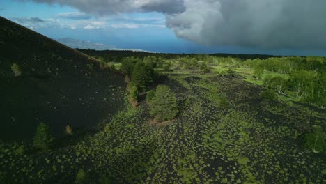 Flug-über-Einen-Wald-Mit-Dunkler-Erde,-Grüner-Vegetation,-Weißen-Stämmen-Und-Bedrohlich-Niedrigen-Wolken