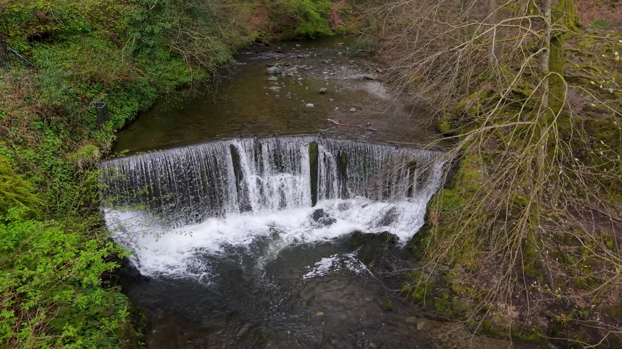 Een orbitale drone-opname vanuit links cirkelt rond een brede watervalstuw die in een bosrivier stroomt bij Ambleside, Cumbria, omringd door weelderige groene vegetatie en kale takken