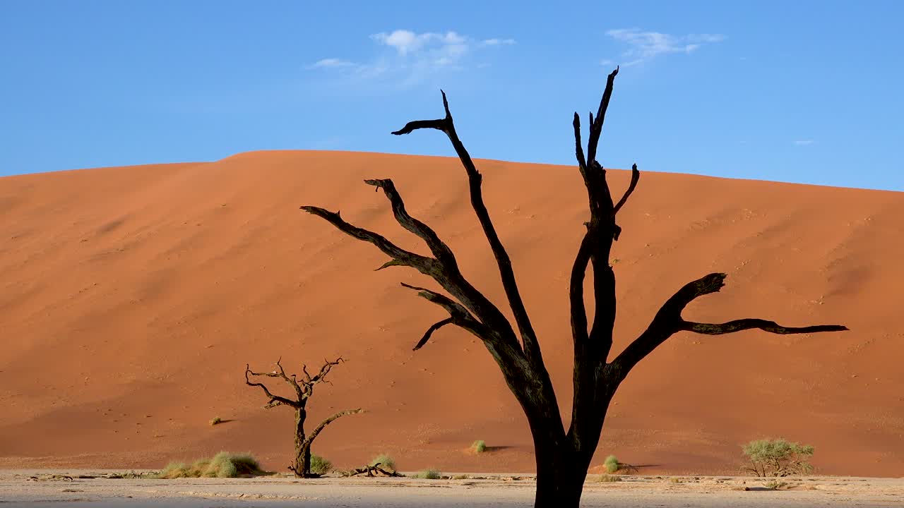 siluetas de árboles muertos al amanecer en deadvlei y sossusvlei en namib parque nacional naukluft desierto de namib namibia 6
