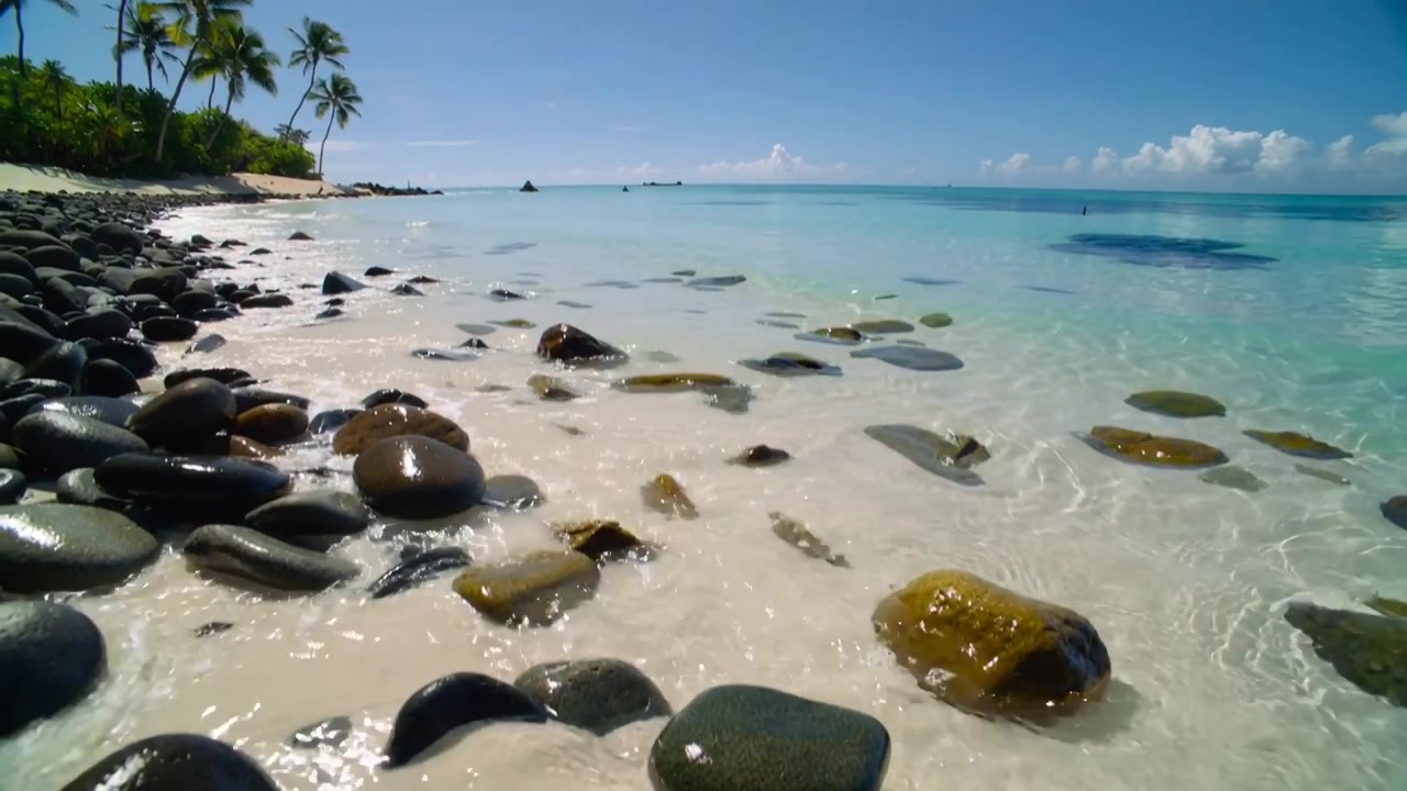 Ondas rolando lambendo pedras lisas, molhadas e arredondadas na costa arenosa, revelando um palmeiral à esquerda.