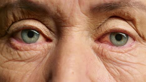 closeup of an elderly person's eyes