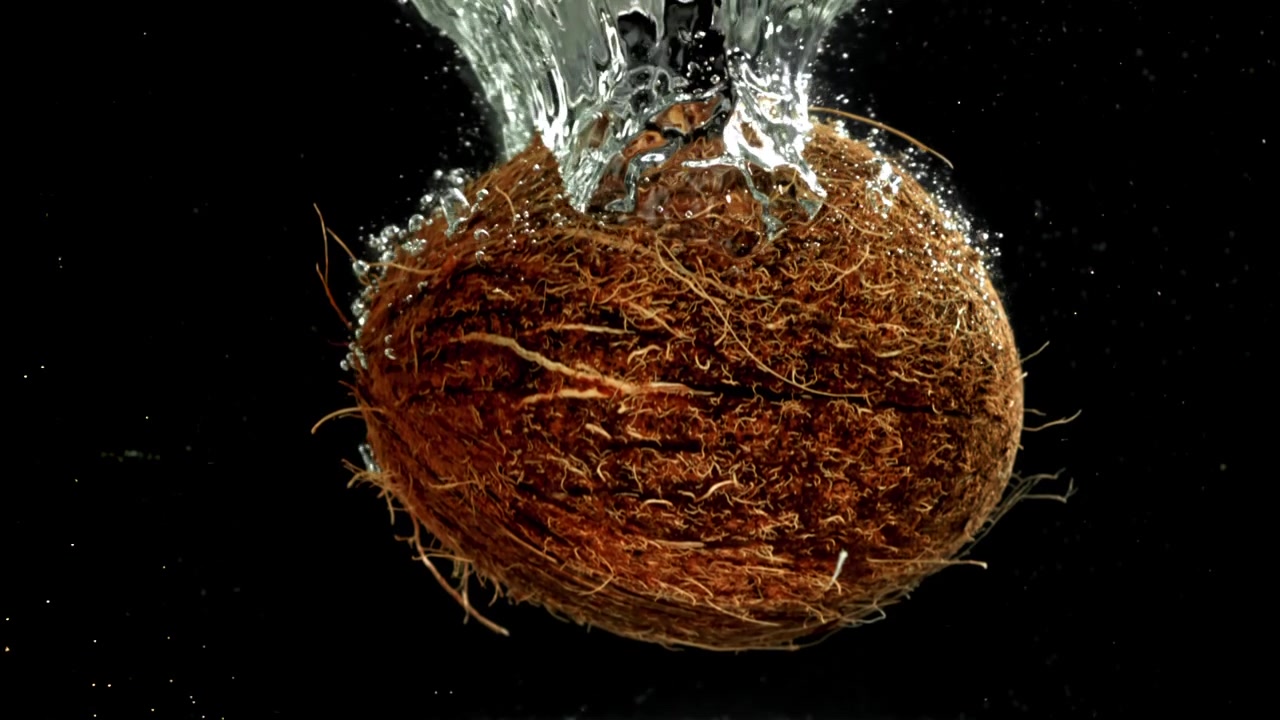 Fresh Coconut Submerging in Water with Splashes and Bubbles
