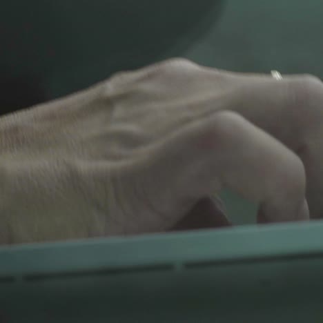 female hands on the keyboard