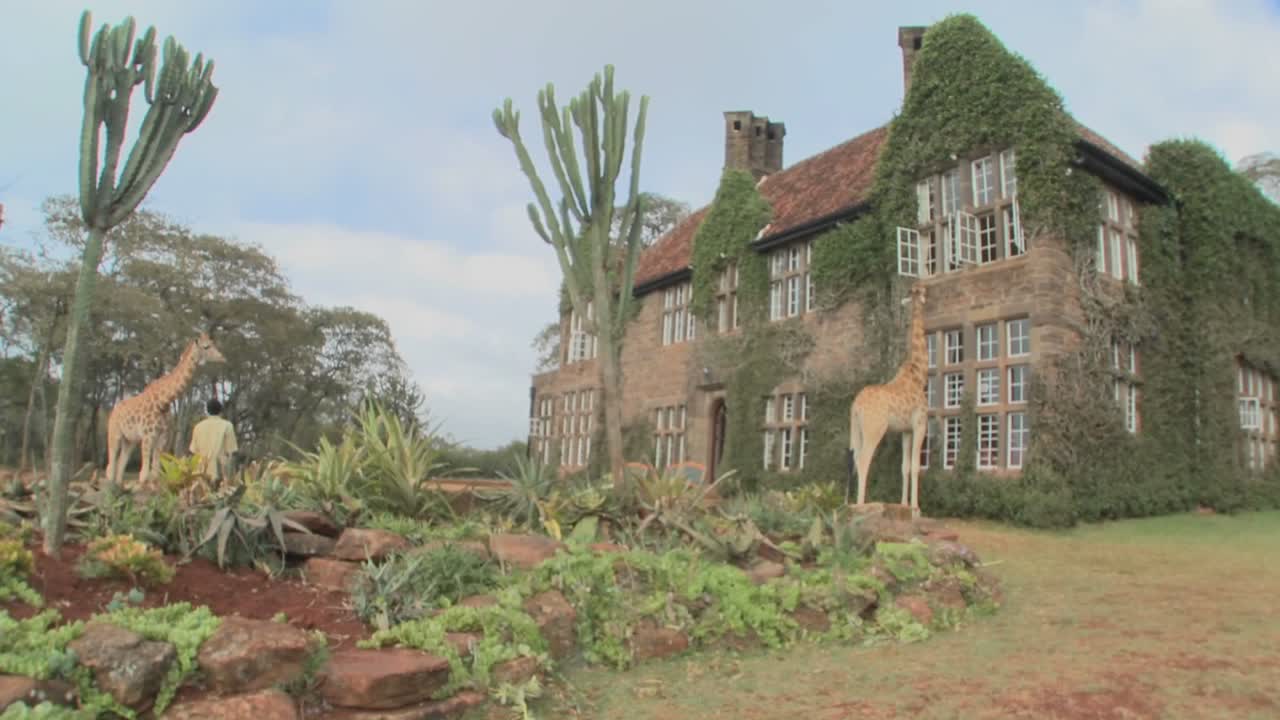 케냐의 옛 저택 밖을 돌아다니는 기린 14