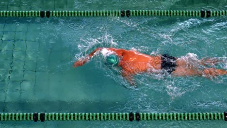 nadador en forma haciendo el golpe frontal en la piscina