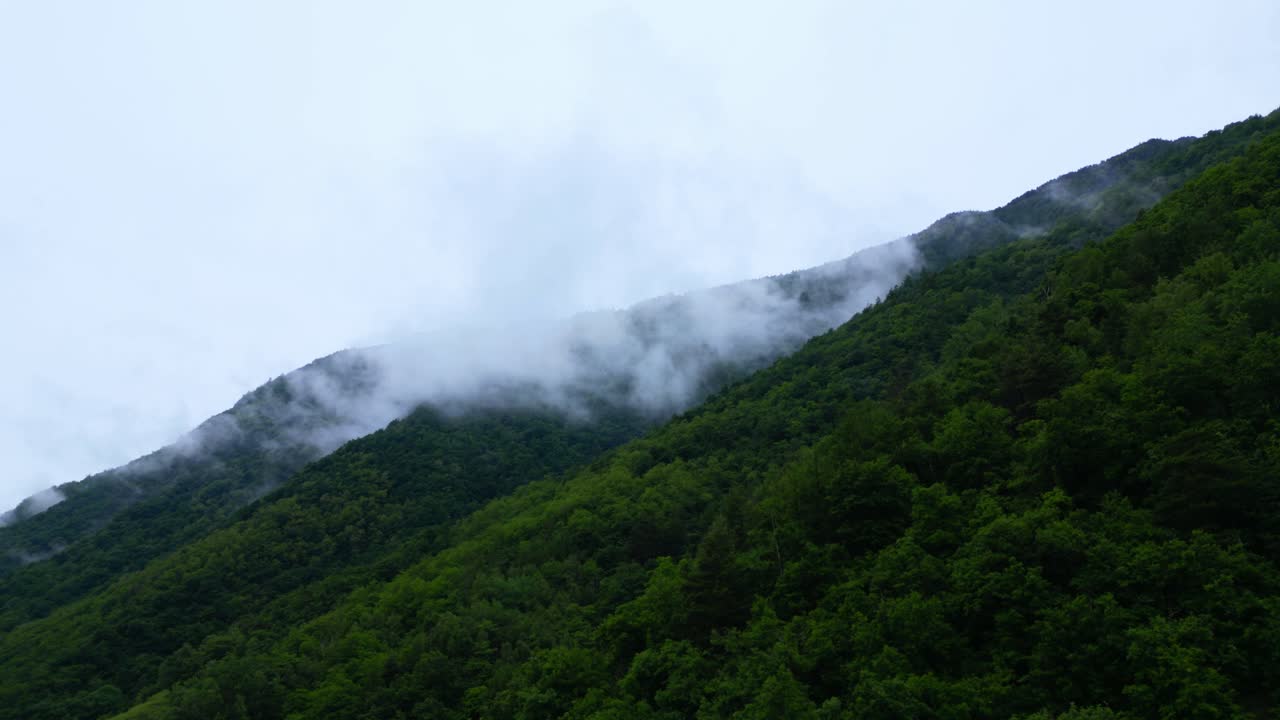 Gentle mist crawls over a forested Alpine ridge in soft morning light, evoking calm and solitude. Shot at Villa di Tirano, Sondrio, Italy (Italia)