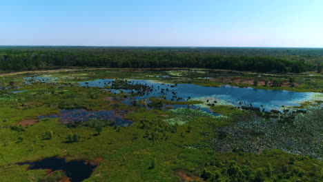 fogg dam conservation reserve drone shot