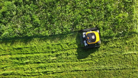 top down aerial view of robotic lawn mower cutting green grass on sunny day, high angle drone shot