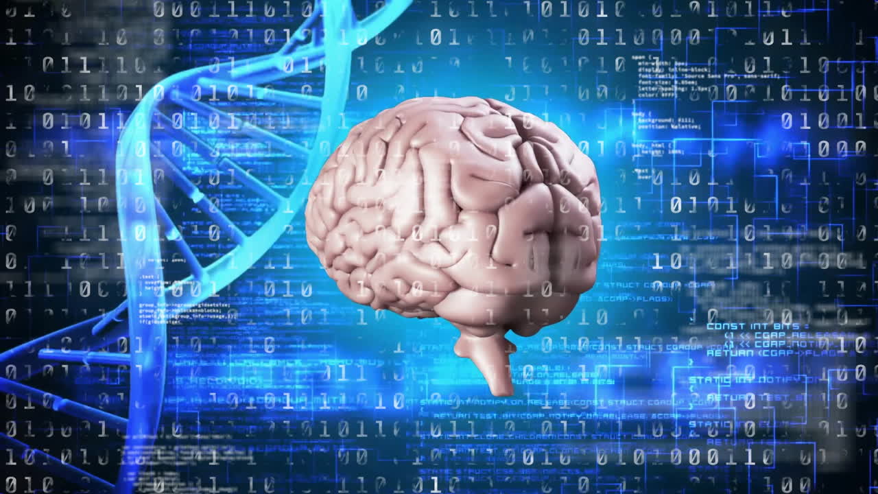 검은 배경에서 dna 줄무 위에 회전하는 뇌의 애니메이션과 데이터 처리