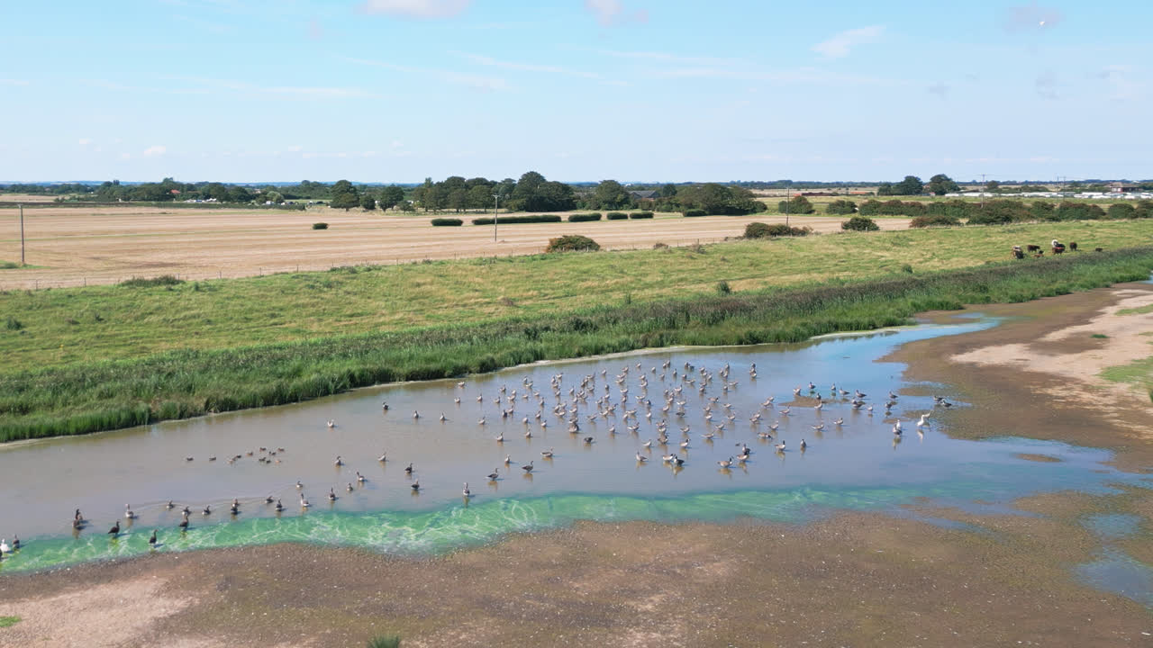 аэрофильмы дают представление о спокойных морских болотах на побережье линкольншира, с морскими птицами в изящном полете и на лагунах и внутренних озерах.