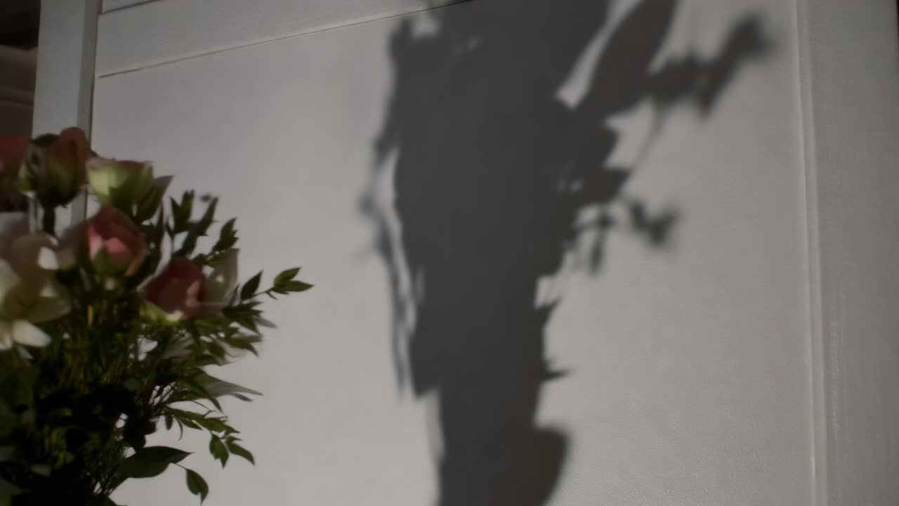 Shifting spotlight moving shadow on white wall while rosebuds sliding to center to reveal details