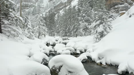 Foque-De-Calm-Creek-En-Paisaje-Cubierto-De-Nieve