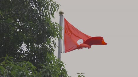 hong kong flag waving 1080 50p 10