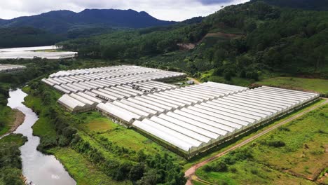 aerial view tilt of the greenhouses in lam dong in the morning