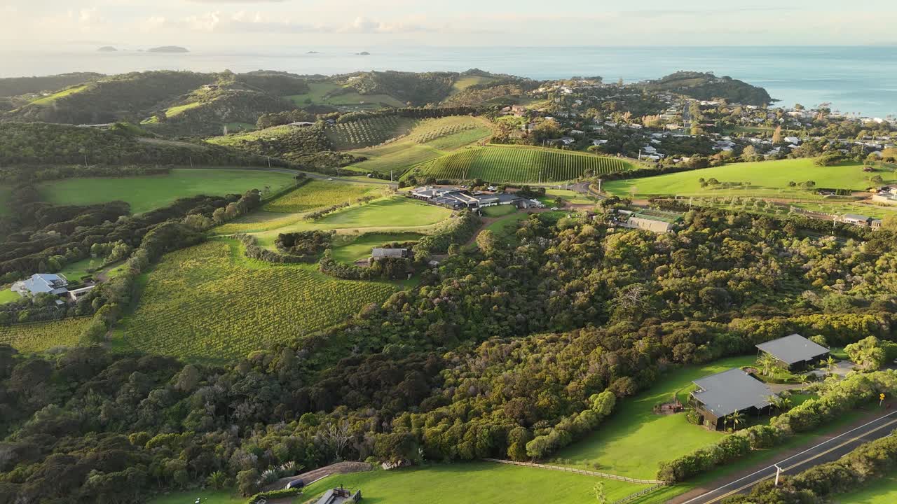 Golden sunset light shines lush forest and vineyards on Waiheke Island, with Oneroa town and bay distant, New Zealand wine country. Aerial drone panoramic view