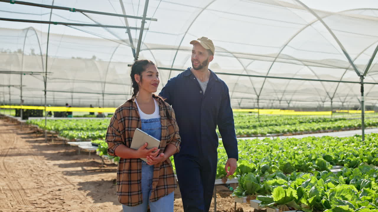 Farmers inspecting crops in greenhouse